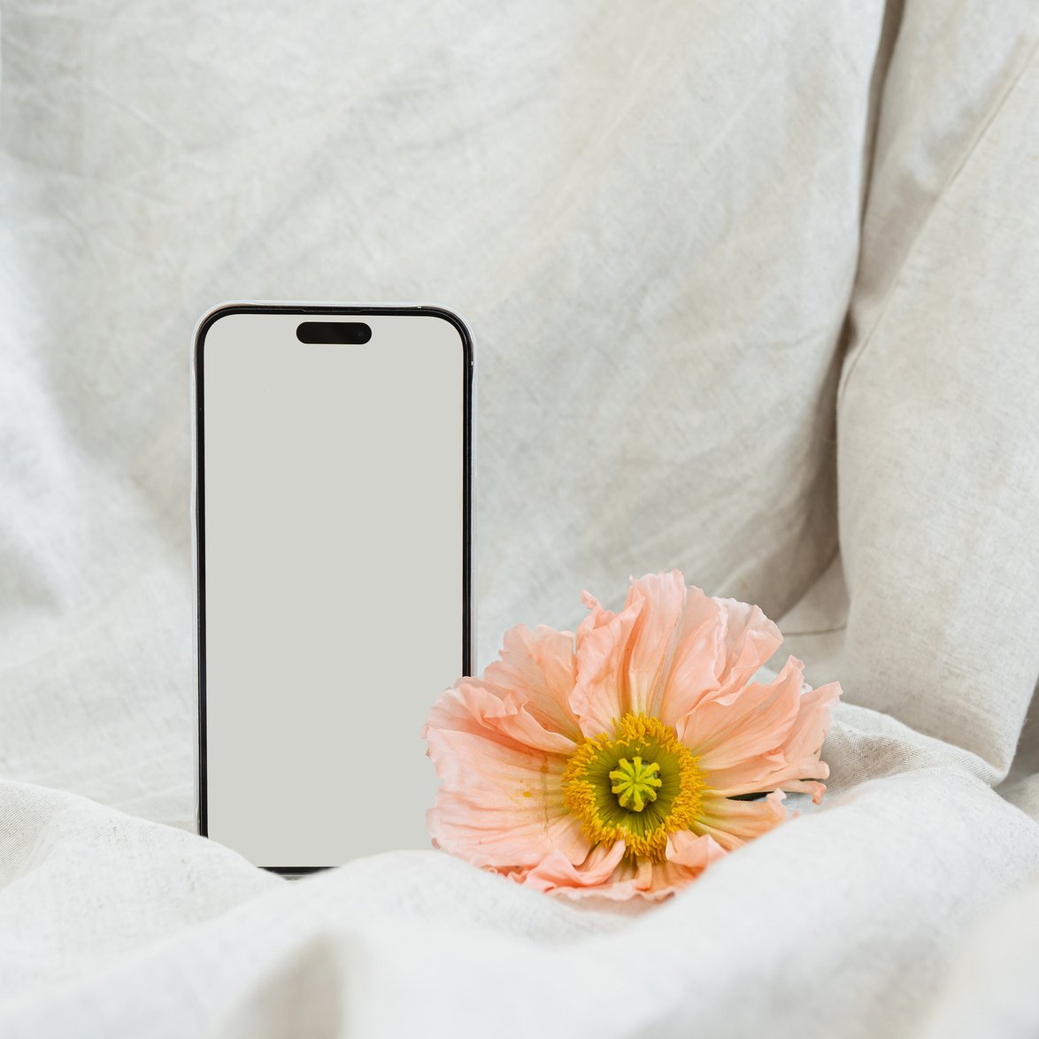 Flower and Smartphone